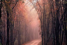 九游娱乐官方网站-不败神话崩塌夜：巴塞罗那的伤口与足球的残酷辩证法