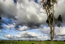 九游娱乐网页-安联堡垒再显神威？拜仁晋级背后的主场密码