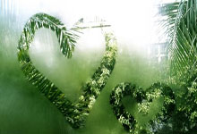 九游体育官方入口-帕尔梅拉斯防线协作提升，力求限制攻击