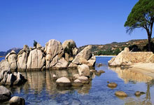 9you娱乐-尤文图斯队长转投英超联赛，谁将接任？