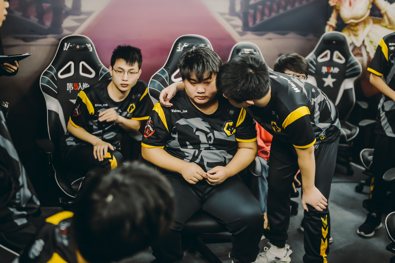 关于体育竞技场上群英荟萃，激烈对决令人热血沸腾的信息