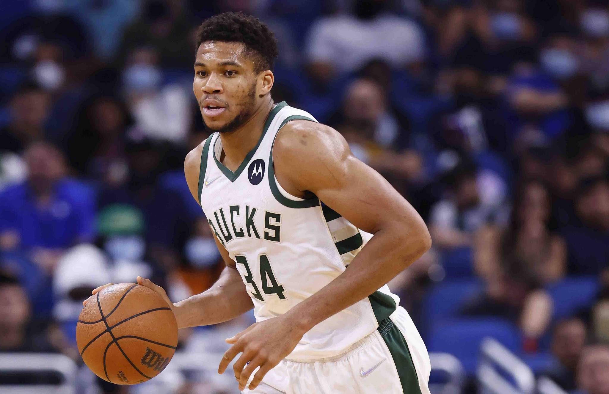 雄鹿NBA西部一哥，因瑟芬科罩杯效应不断扩展